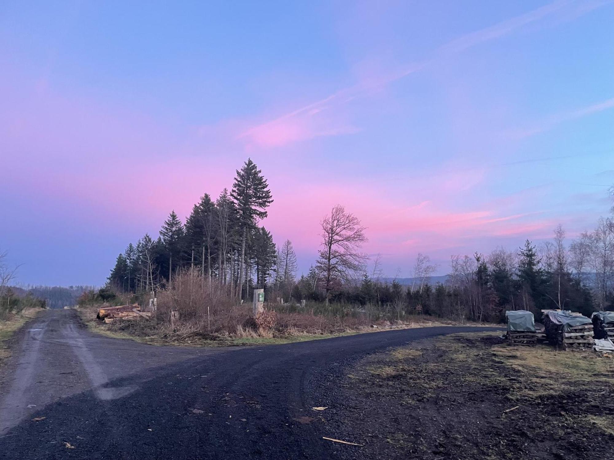 Gittas Paradiesperle Niederdreisbach المظهر الخارجي الصورة